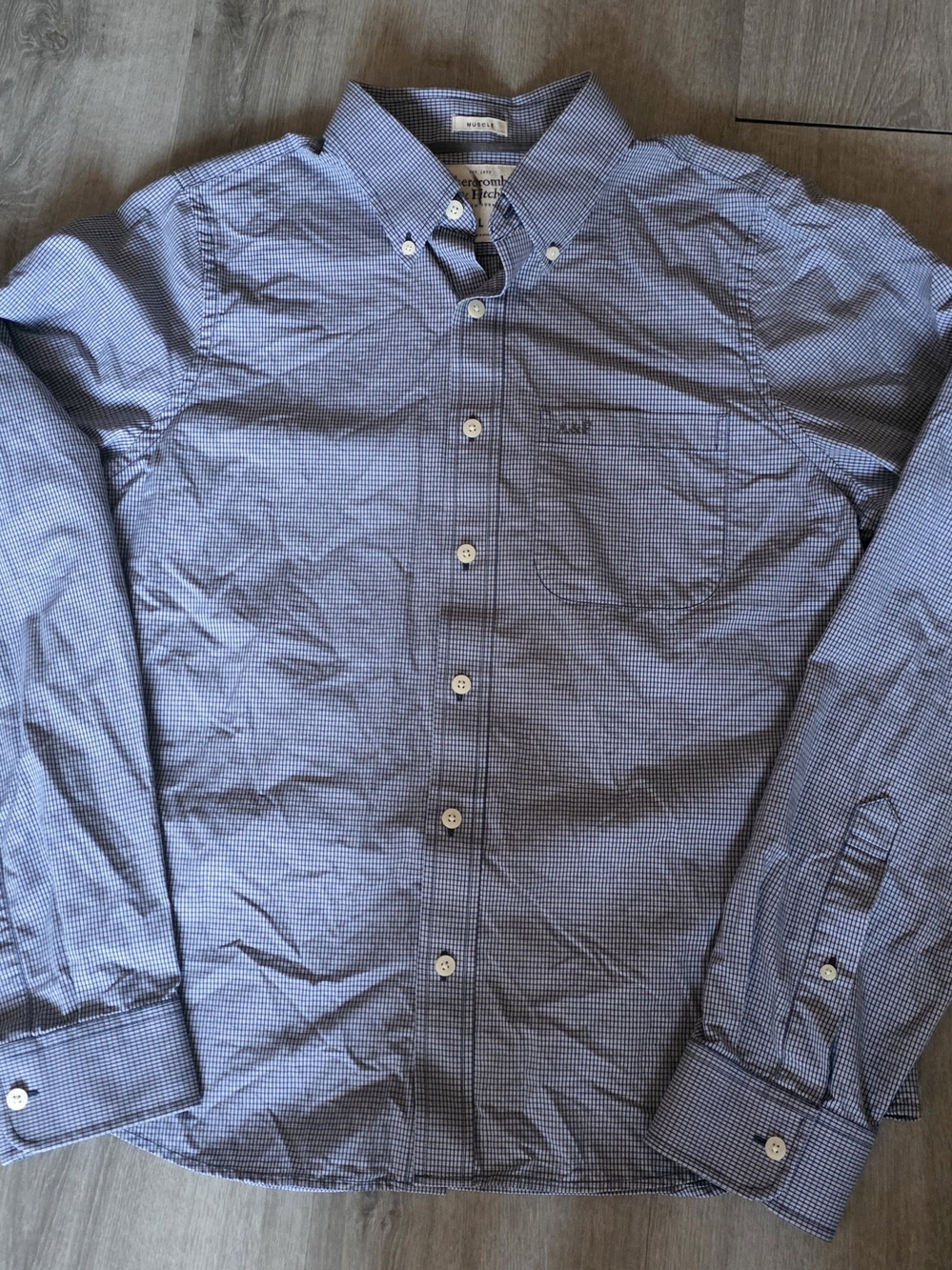 Abercrombie & Fitch Navy and White Micro Gingham Button-Down Shirt - Men